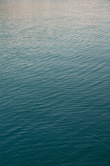 Fototapeta premium Close-up of calm water surface with gentle ripples reflecting soft light. Peaceful water texture with subtle waves. Natural water background for relaxation or nature themes, outdoor, environment,