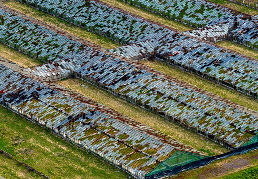 Aerial view of dilapidated greenhouses with broken glass panels and mossy roofs in an abandoned industrial farm Vilnius County, Lithuania.
