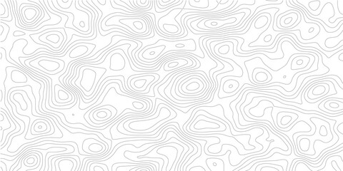 Minimal abstract topographic contour map with smooth gray elevation lines and flowing geographic layers, modern cartography vector background on transparent backdrop © Mirror