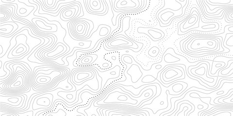 Abstract topographic map background with gray contour lines and white layered elevation curves, minimalist geographic vector pattern design with transparent background style © Mirror