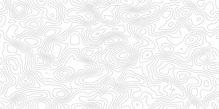 Minimal abstract topographic contour map with smooth gray elevation lines and flowing geographic layers, modern cartography vector background on transparent backdrop