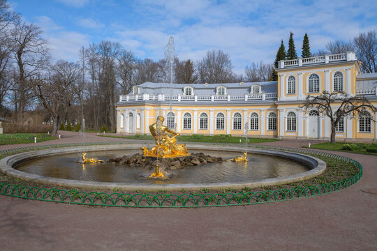 PETRODVORETS, RUSSIA - APRIL 18, 2026: The Triton Fountain in the Peterhof Palace and Park Complex on a sunny April day