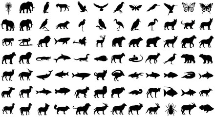 Fototapeta premium Collection of Diverse Animal Silhouettes A Comprehensive Visual Guide to Mammals, Birds, Fish, and Insects