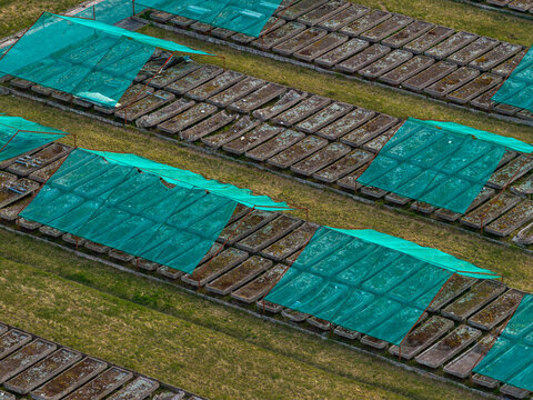 Aerial view of rows of concrete drying beds covered with green mesh netting on a grassy field in Vilnius County, Lithuania.