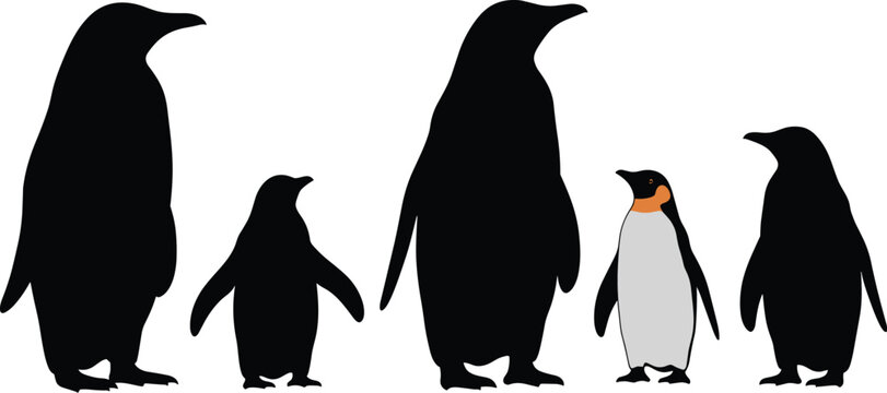 Penguin Silhouette Collection with Emperor Penguin Character Icon Set for Antarctic Wildlife Graphic Designs