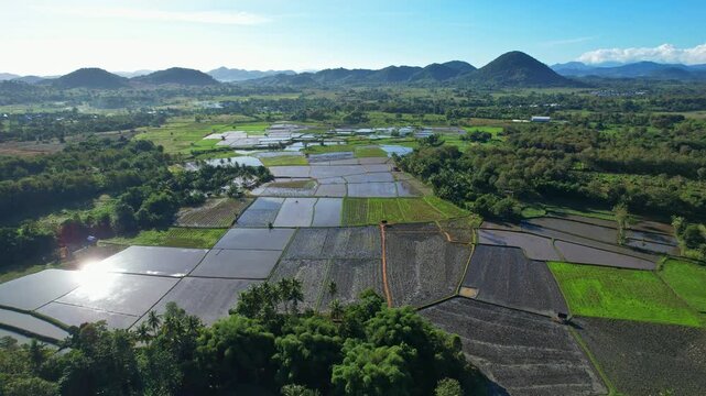 Aerial drone footage of mirror effect watered rice fields surrounded by forests and green hills, at sunrise, nearby Batu Bulan water reservoir, in Sumbawa regency, Sumbawa island, Indonesia