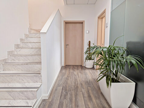Bright clean office corridor with marble staircase, wood effect floor, beige wooden door, green potted plants in white planters and frosted glass wall panel