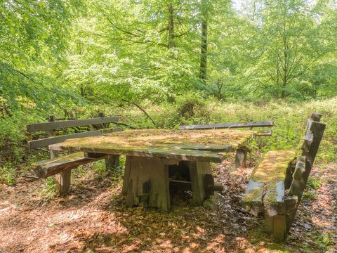 Alte Tischgruppe im Wald
