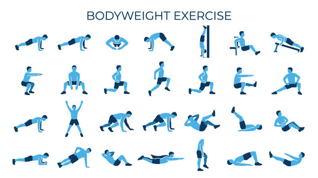 Comprehensive bodyweight exercise chart illustrating a variety of fitness movements for a full body workout routine at home or gym