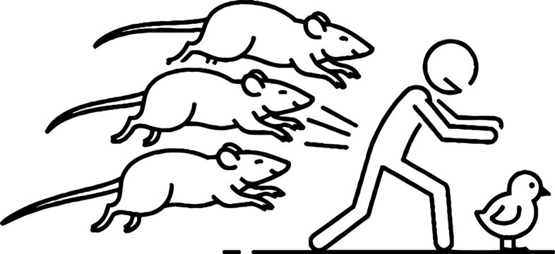 Person protecting small chick from group of running rats