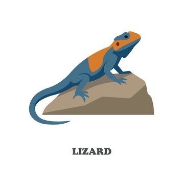 Lizard vector illustration in flat cartoon style. Reptile safari animal isolated on white background for zoo and educational graphics.
