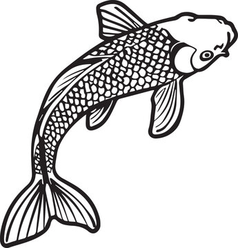 A striking Koi fish graphic. Capturing the graceful beauty. Emphasizing its scales, fins, and unique markings.
