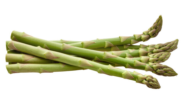 Fresh green asparagus spears with closed buds, isolated on transparent background