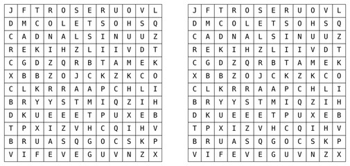 Word search puzzle with letter grid and highlighted solution. Educational vocabulary game for brain training, language learning, and printable worksheets. Vector illustration series © Alex