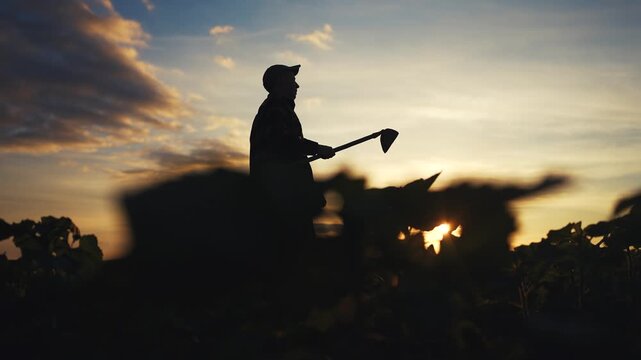 A man stands in a field at sunset, holding a hoe. The silhouette of the man contrasts against the vibrant sunset and the surrounding crops.