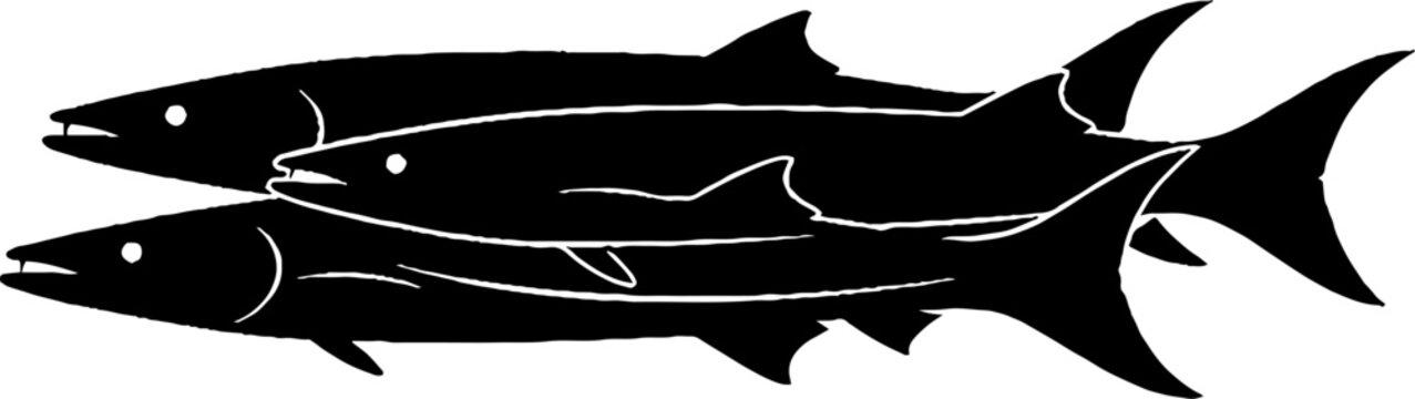 Barracuda Fish Silhouettes in Blue Optical Line Pattern