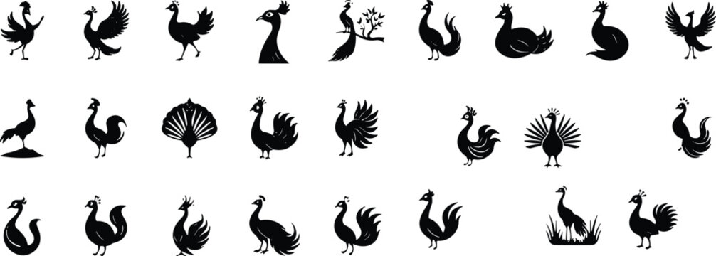 Rooster bird silhouette collection farm animal chicken design decorative feather pattern nature illustration vector art rural concept