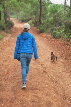 Hiker walking forest trail with cat