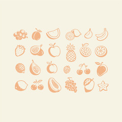 Minimalist hand drawn fruit icons, set of 24 organic food line art illustrations, peach orange aesthetic fruit sketches for branding and packaging © usman