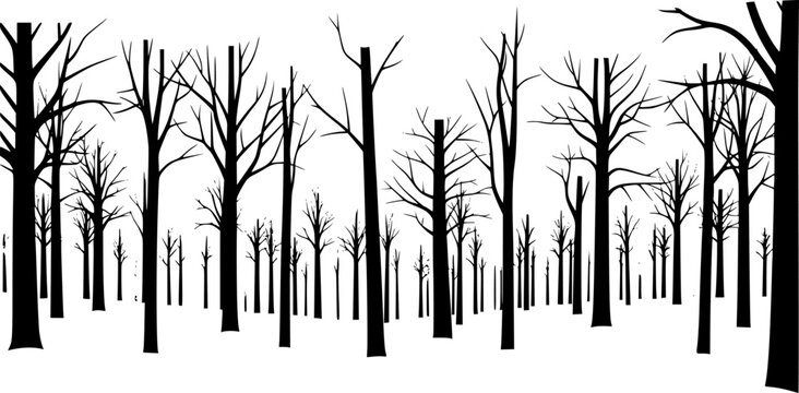 Black silhouette of bare winter trees against a white background, forest scene