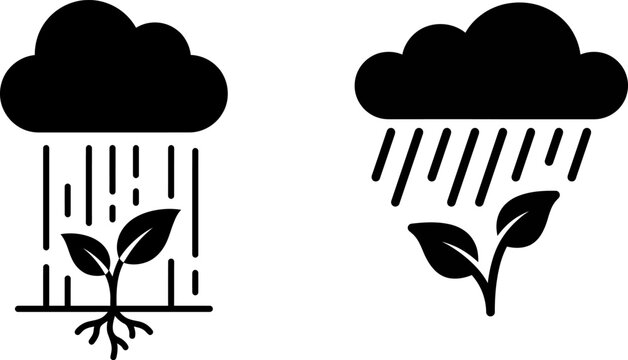 Black and white icons of rain clouds watering small growing green plants with roots