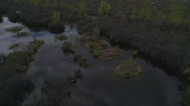 drone footage, aerial view, wetlands, swamp, marshland, 