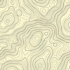 Fototapeta premium Abstract Topographic Line Pattern