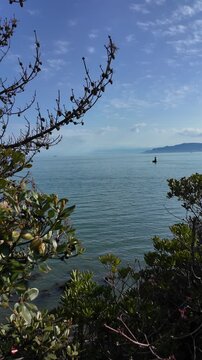 View of the Seto-Naikai Sea through dense vegetation. The terrain is visible ahead