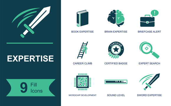 Expertise icon set. Containing knowledge book, research tools, business systems, engineering support, professional training, technical skills and more. Solid fill vector icons collection.