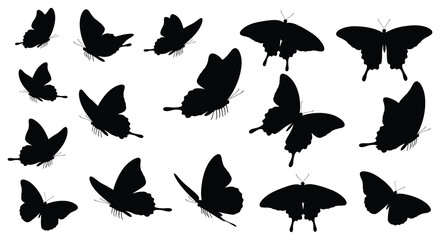 Butterfly silhouettes collection on a white background © Foaje512