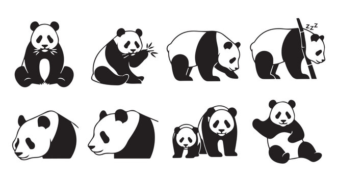 Panda bear family group in silhouette against a white background with various poses