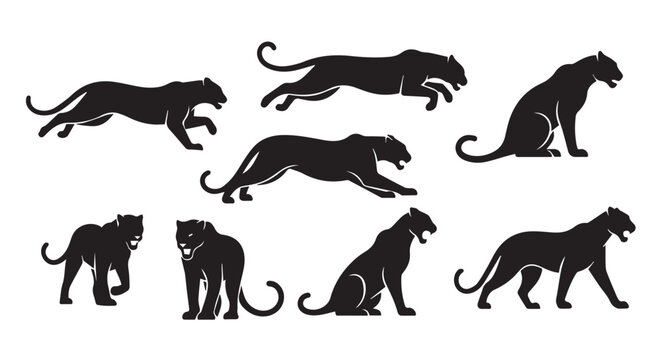 Panther silhouettes in various dynamic poses against a clean white background emphasizing power and agility