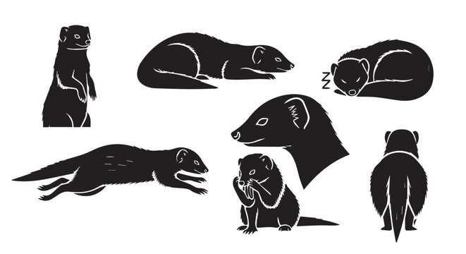 Various mongoose poses in silhouette against a white background for versatile graphic design