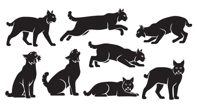 Wild feline silhouettes in various dynamic poses against a stark white background representing primal energy and movement