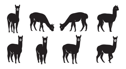 Fototapeta premium Alpaca herd silhouettes standing and grazing against a bright white background with copy space