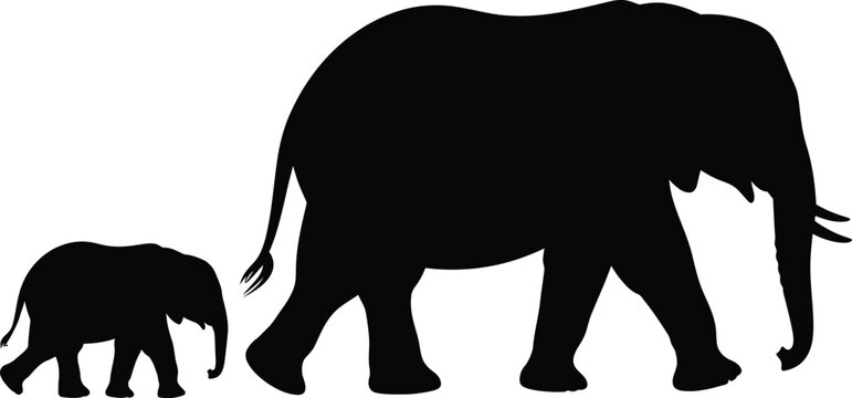 Black silhouette of an adult elephant walking with its small baby calf representing nature wildlife and family bonding vector illustration.