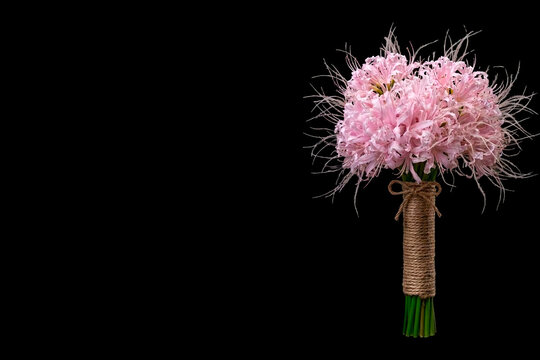 Horizontal banner of pink nerine lily bouquet on black background with large copy space on left