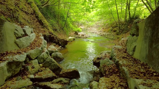 Forest stream flowing between stone reinforcement walls under green trees