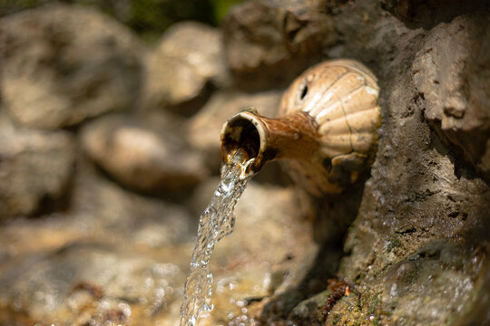 A waterfall in the forest flows from a jug.
