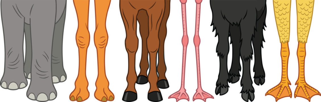 Animal Legs and Feet Set with Elephant, Giraffe, Horse, Flamingo, Dog, and Duck for Education and Nature Designs