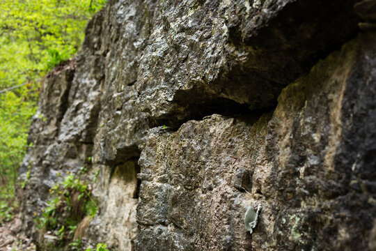 A basalt stone wall in the forest