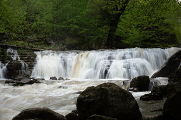 Obraz premium waterfall in the forest during the day