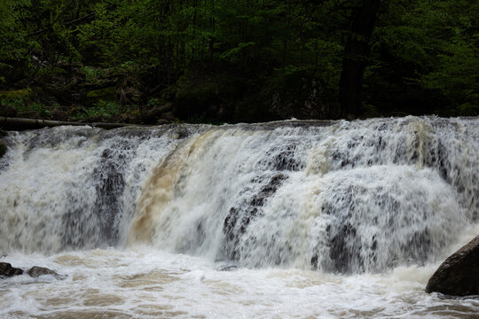 waterfall in the forest during the day
