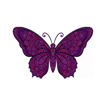 butterfly isolated , tropical insect with detailed wings