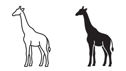 Fototapeta premium Giraffe Silhouettes Standing Side By Side On White Background For Wildlife Concepts