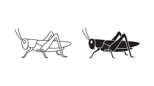Black and white grasshopper illustrations standing for insect concepts