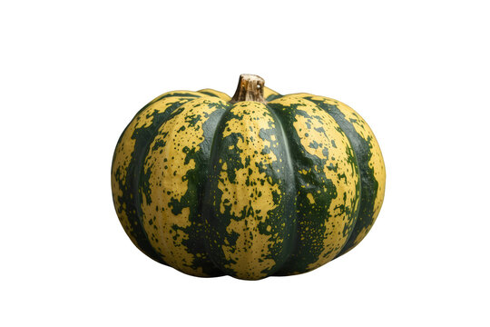 Carnival squash on transparent background, showing seasonal vegetable as a symbol of autumn and harvest bounty
