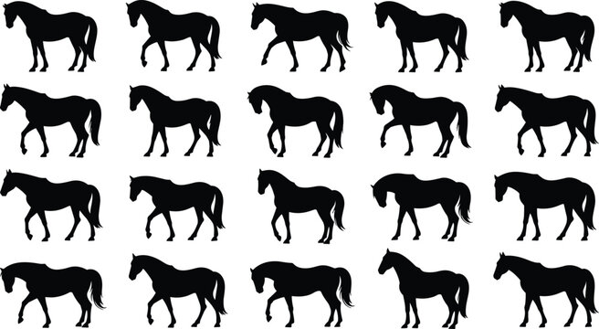 Horse Silhouette Collection with Walking and Standing Equine Poses Vector Illustration Isolated on Gray Background