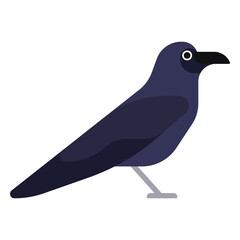 Obraz premium Stylish raven illustration