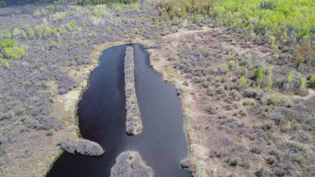 erial top down view of a narrow island in a dark blue lake surrounded by spring forest, cinematic drone shot of a unique peninsula and pond in a wilderness landscape, bird's eye view 